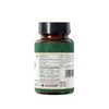ORGANIC SPREE Hadjod 120 Tablets – USDA Organic Cissus Quadrangularis