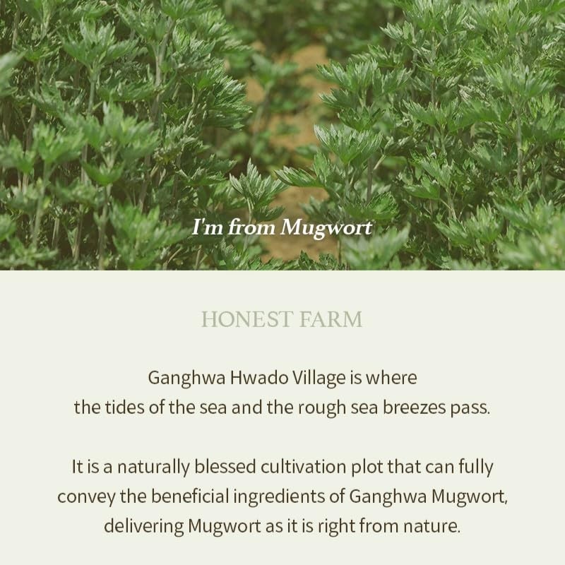 I'm from Mugwort Gel Cleanser 150ml, Mugwort 60%, Calming, Soothing,