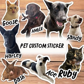 Squiddy Custom Pet Stickers of Your Dog, Cat or Other Pet from Your Photo - Waterproof Vinyl - for Car, Window, Water Bottle, Phone - (Small Pack - 1-5" Sticker and 3-3" Stickers)
