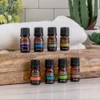 SpaRoom SpaRoom 100% Pure Essential Oils Set; Perfect for Aromatherapy,