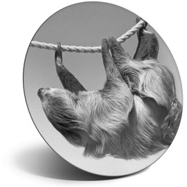 Destination Vinyl ltd Magnet for Refrigerator, Fridge BW - Cute Climbing Lazy Sloth Animal for Office, Cabinet and Whiteboard, Magnetic Stickers, 40941
