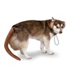 Midlee Monkey Headband & Tail Dog Costume