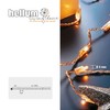 hellum Micro-Lichterkette, 100 transparente Filament Lichter, warm, 220V strombetrieben, innen