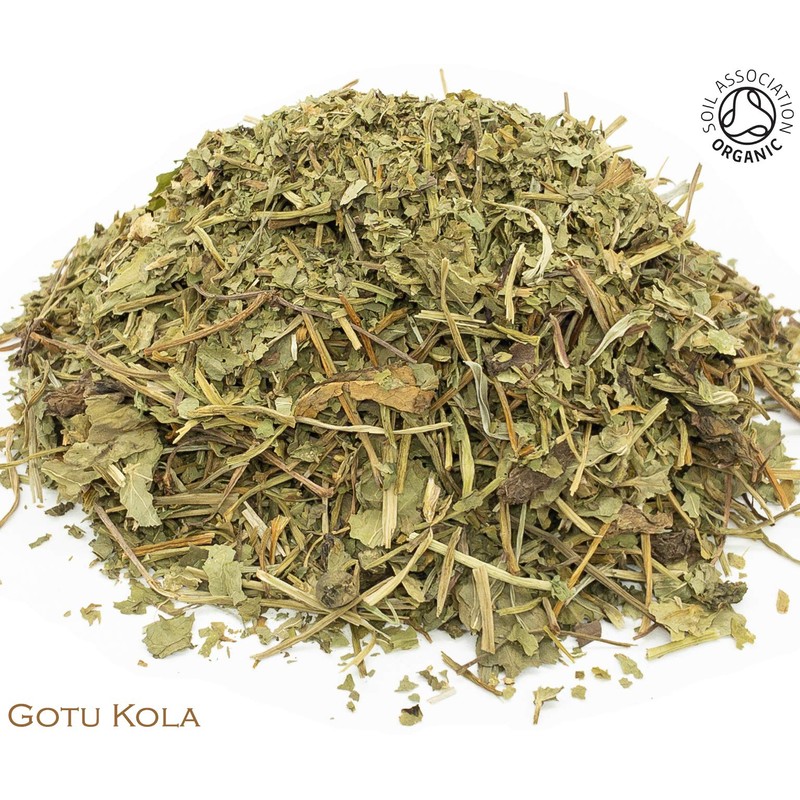 Organic Gotu Kola Pure Herbal Infusion (25 Unbleached Tea Bags
