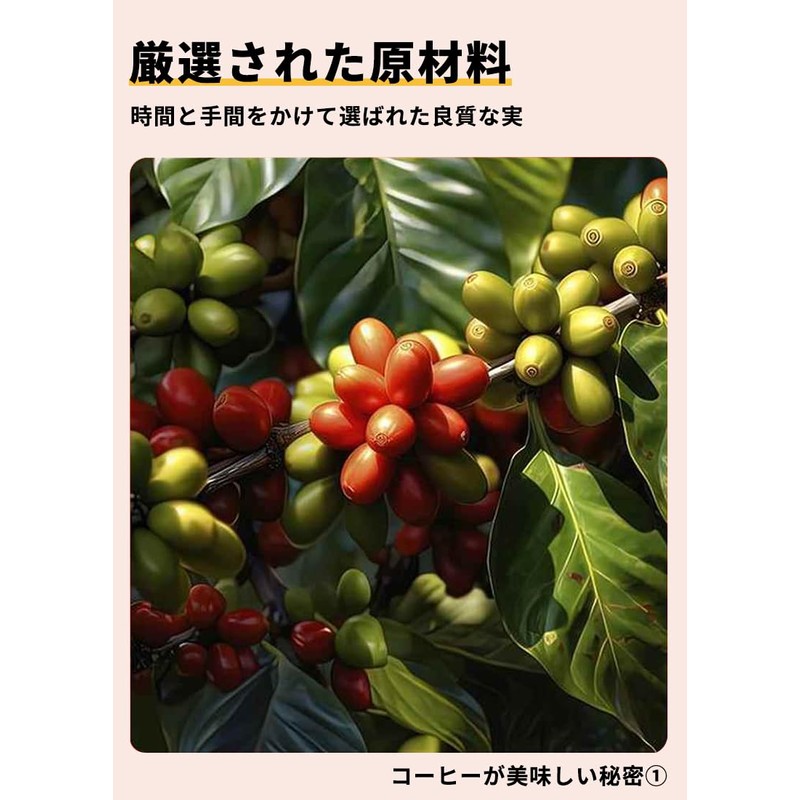 Ear Coffee Powder Pack, Fine Grinding of Raw Beans, Small