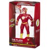 Character Options Stretch 07695 The Flash Large Amazing Fun DC