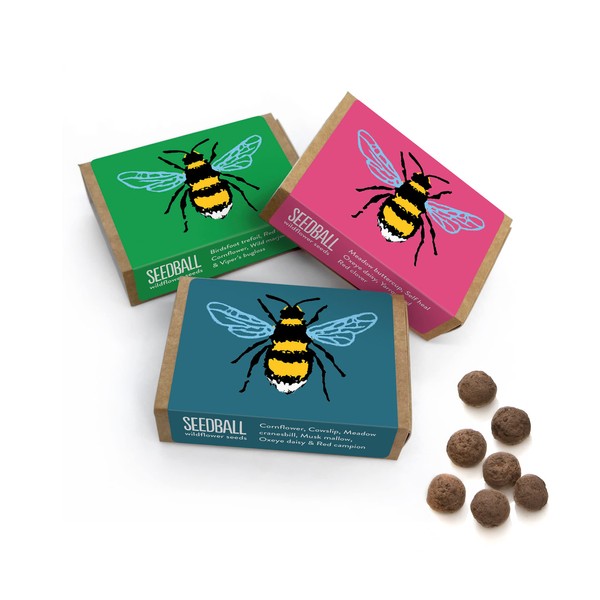 SEEDBALL Bee Boxes (Pack of 3) 6 Seed Balls Per Box | Bee Friendly Seed Bombs, A Different British Wildflower Seed Mix in Each Box | Ideal Eco Friendly Stocking Filler & Christmas Garden Gifts