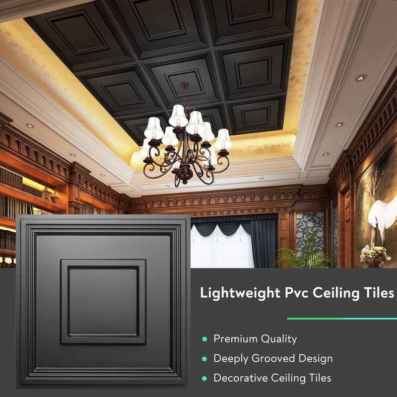 STICKGOO Black Drop Ceiling Tile 2ft x 2ft, Ceiling Panel