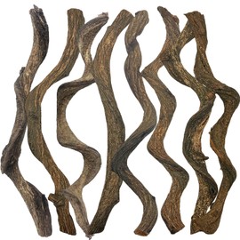 Reptile Decor Natural Forest Branch Terrarium Habitat Decoration Lizard Climbing Tree Branch for Bearded Dragon Gecko Snake Frog Chameleon Spider 8PCS