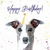 Greyhound Birthday Card - Party Hat