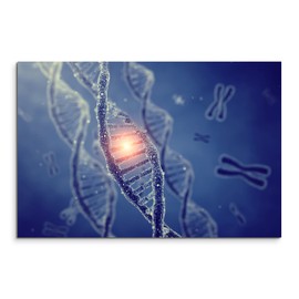 Canvas Picture Medical Image – DNA Double Helix Molecules with Canvas Chromosomen Exclusive Modern Photography For Your Wall Art in different sizes