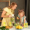 LemonRoad 6 Packs Lemon Pattern Highball Glasses 10 oz Tall
