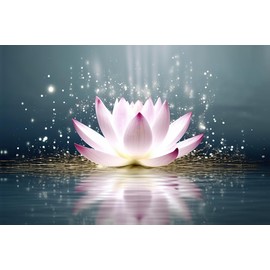 Goyohone White Lotus Wall Art - Framed Canvas Print for Yoga & Meditation, Zen Decor, Bathroom Living Room Painting, Solid Wood 12x16 Inch Ready to Hang | Calming Spa Office Decor | Mindfulness Gift