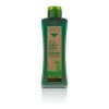 Salerm Biokera Shampoo Cabello Graso 300ml