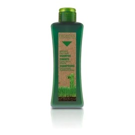Salerm Biokera Shampoo Cabello Graso 300ml