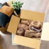 SZSYumUnion Honeycomb Packing Paper Roll - Eco-Friendly Alternative to Bubble