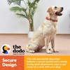 The Dodo Cork Dog Collar, Red Dodo Print; Size Large;