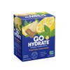 GoHydrate Instant Hydration Powder Packets - Low Sodium Electrolytes Drink