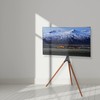 VIVO Artistic Easel 45 to 65 inch LED LCD Screen,