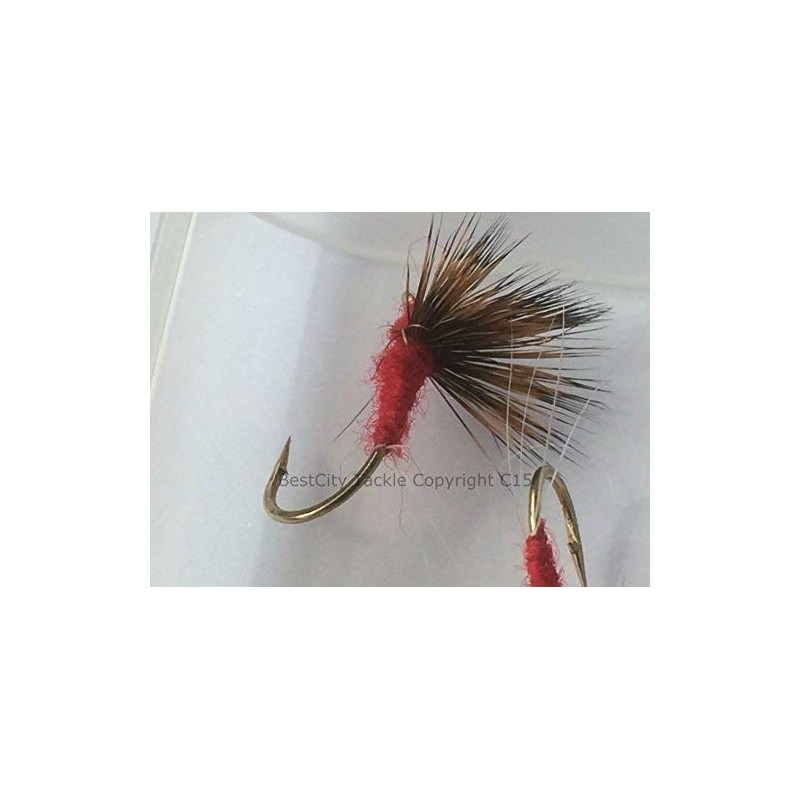 BestCity Fly Fishing Premium Comparadun Dry Flies 16 Pack Includes