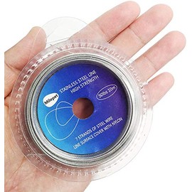 Silver Fishing Wire Line: 10LB-200LB Stainless Steel Fishing Leader Wire 10 Meter with 10pcs Crimps Sleeves (200LB)