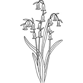 'Bluebells' Rubber Stamp - Unmounted Design for Crafting & Scrapbooking, A7 (RS00000154)