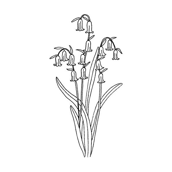'Bluebells' Rubber Stamp - Unmounted Design for Crafting & Scrapbooking,