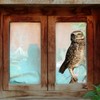Large Realistic Owl Window Treatments, Removable Vinyl Treatments, Living Room,