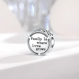 BIZK Heart Charm Pendant 925 Sterling Silver for Bracelet Bead Pendant for European Bracelets and Necklaces, Sterling Silver