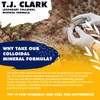 Original Colloidal Mineral Formula T.J. Clark 32fl.oz. Liquid