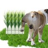 JoyHuaTrade 6 PCS Fake Grass Plants Pee Post, Reusable Washable