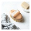 Ever Eco Dry Body Brush, 1 Item