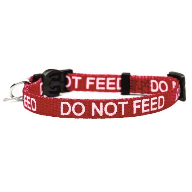 Cat Collar DO NOT Feed in Red, Pink Or Blue,