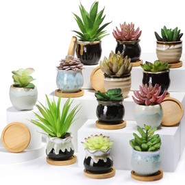 Remerry 24 Pcs 2.5 Inch Small Succulent Pots Assorted Succulent Pots with Drainage Ceramic Succulent Planter Pot Bamboo Plant Tray Planting Pot Flower Pots for Home Office Garden (Rich Color)