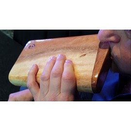 Australian Treasures - Australian Treasures Travel Didgeridoo - AT-Travel including Bag