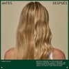 Aveda Color Control Acondicionador | Nutre, Suaviza y Sella