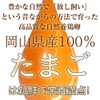 【山口県産にんにく×岡山県産のこだわり卵黄】毎日健康！「にんにく卵黄 サプリメント」 国内産自然農法ニンニク使用 自然養鶏の卵黄を贅沢に使用（約90日分 410mg×180粒）