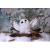 Nemesis Now Snowy Delight Owl Figurine 20.5cm, Resin, White, Charming