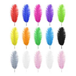 Be In Your Mind 15pcs Natural Ostrich Feathers Mixed Colorful Feathers 25-30cm for DIY Craft Art Design Non-Toxic Odourless Dream Catchers Wedding Party Home Decoration