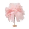 Ostrich Feather Table Lamp Rechargeable Modern Romantic Decoration Lamp Bedroom