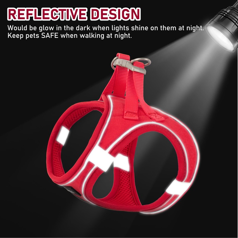 GAMUDA Small Pet Harness Collar and Leash Set, Step in