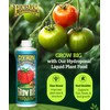 FoxFarm Grow Big Hydro Organic Liquid Fertilizer, 1 Pint -