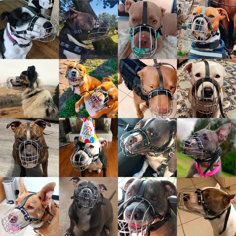 BRONZEDOG Pitbull Dog Muzzle Breathable Metal Basket for Large Dogs