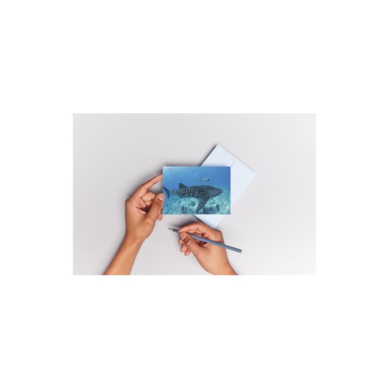 Edition Colibri Whale Shark with Diver 3D Lenticular Postcard/Hologram Postcard