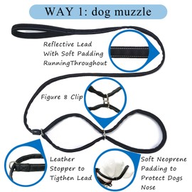 Multifunctional Figure 8 Padded Head Halter Walking Training Reflective Slip Lead Dog Muzzle Webbing Leash (Blue)
