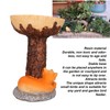 Cat Bird Bath Statue Durable Resin Bird Bath Bowl Exquisite
