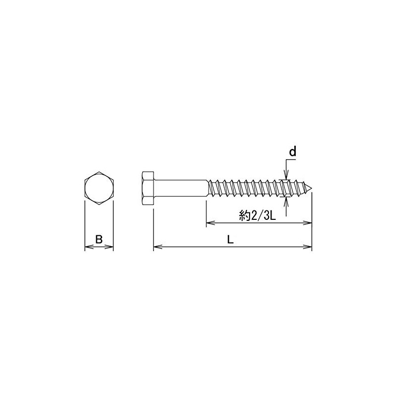 Daido Hunt Coach Screw, Stainless Steel, 10X50 (15 Pieces)