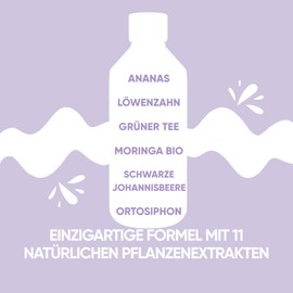 Moringlow Liquid with Organic Moringa & 11 Herbs Natural Diuretic & Detox for Liver & Intestines 500 ml Made in Italy RedMoringa