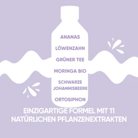 Moringlow Liquid with Organic Moringa & 11 Herbs Natural Diuretic & Detox for Liver & Intestines 500 ml Made in Italy RedMoringa