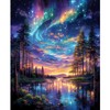 obterie Starry Night Paint by Numbers Kit for Adults Beginner